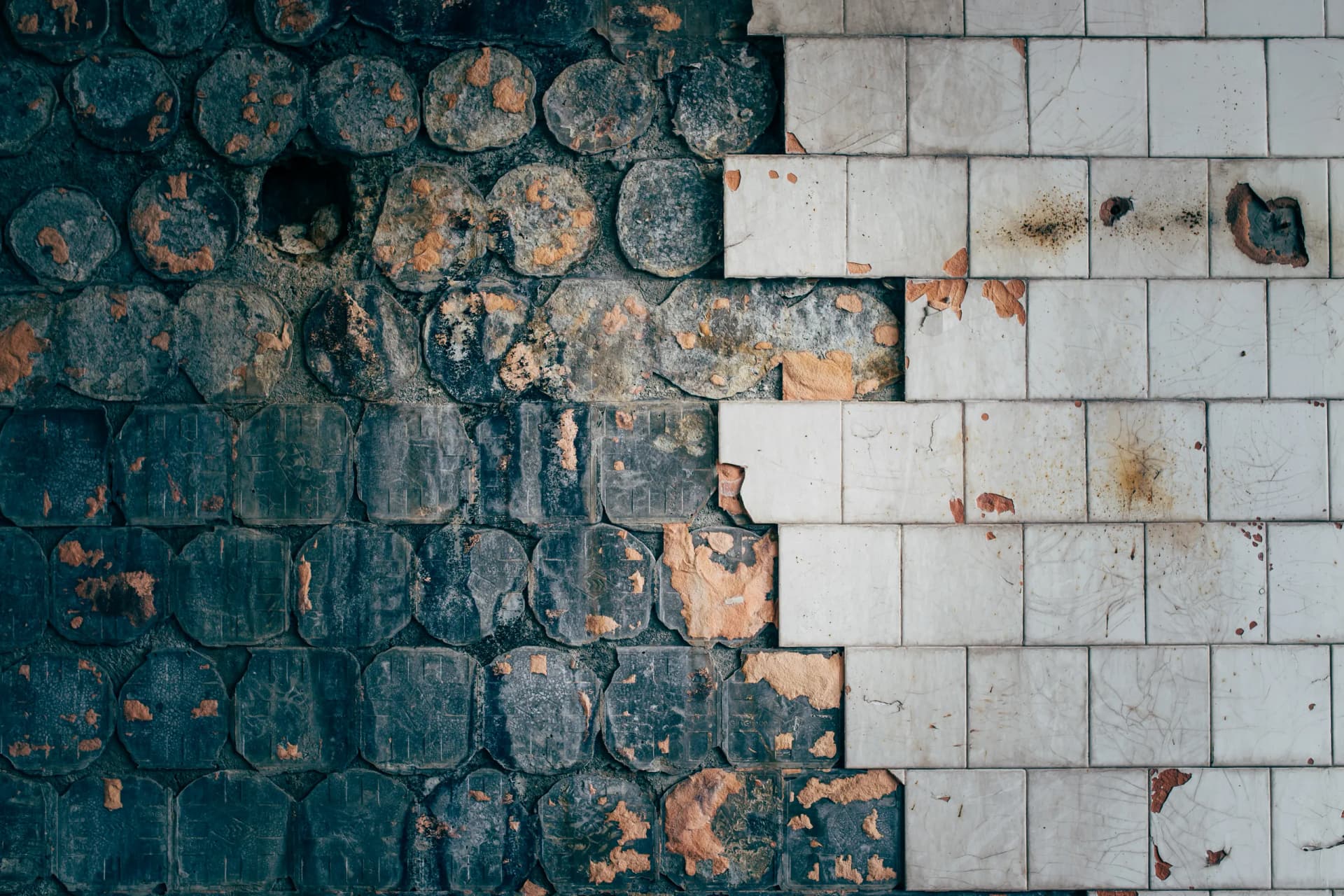 Black Mold Removal