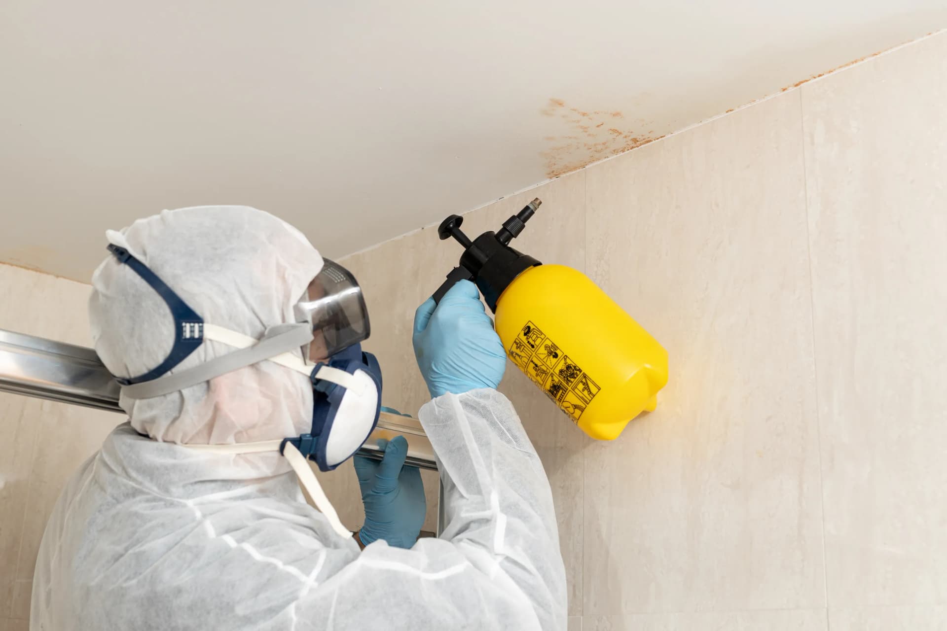 Residential Mold Services